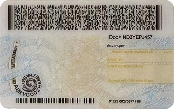 New York ID (2025 Version)