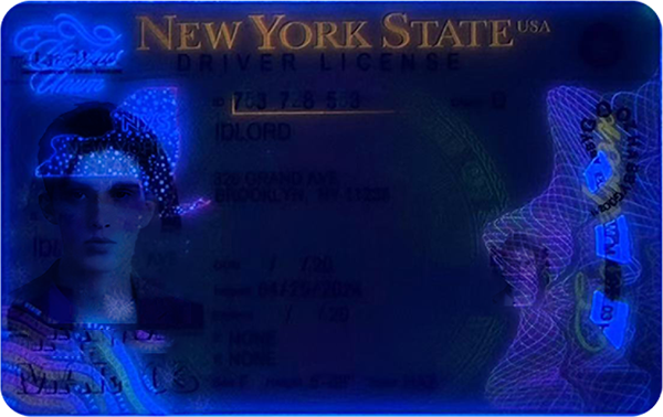 New York ID (2025 Version)