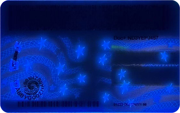 New York ID (2025 Version)