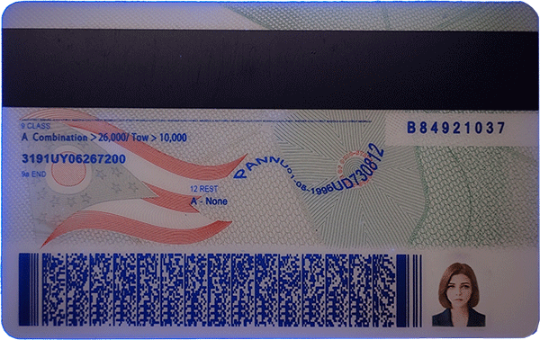Fake Ohio CDL