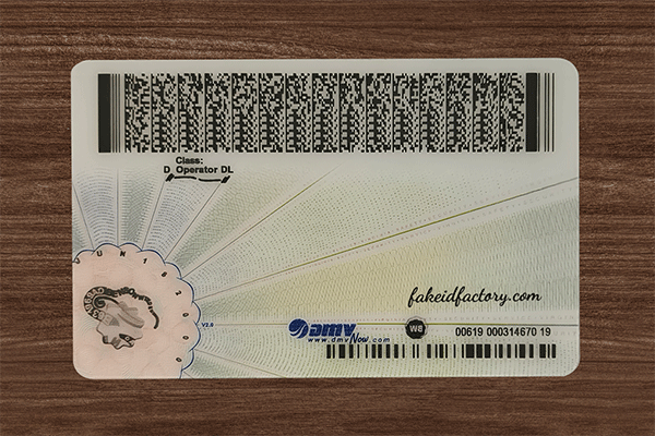 Virginia Fake ID(2025 Version)