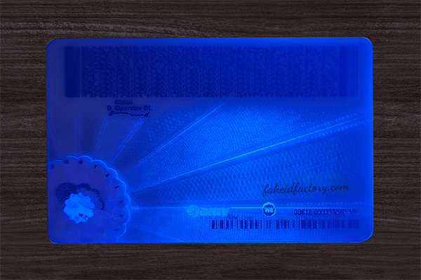 Virginia Fake ID(2025 Version)