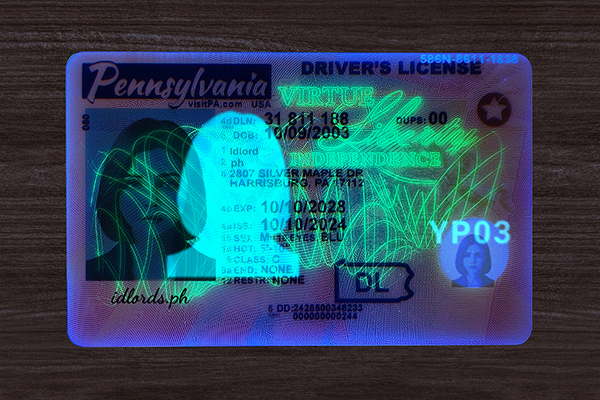 Pennsylvania ID(upgrade version)