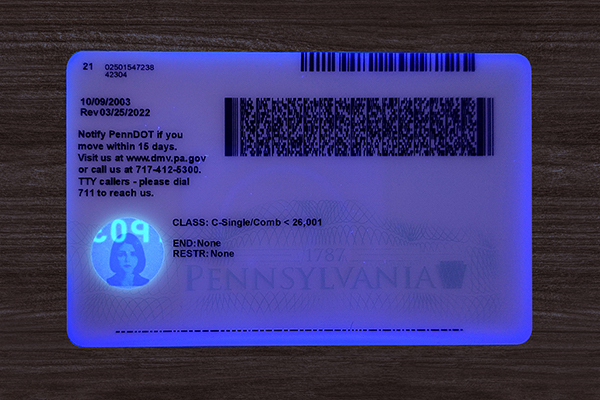 Pennsylvania ID(upgrade version)