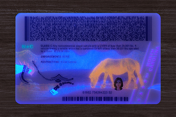 North Carolina Fake ID(2025 version)