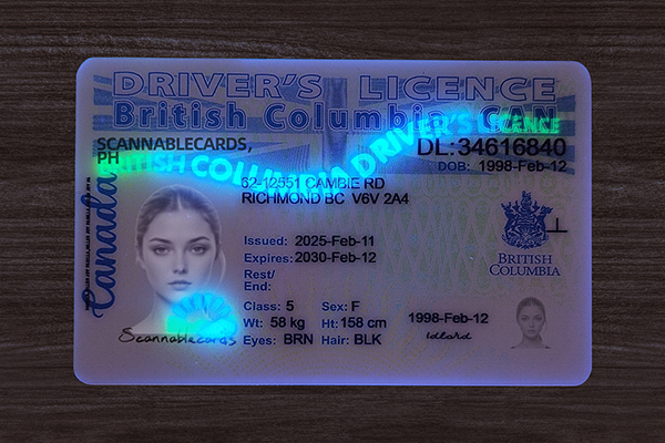 British Columbia Fake ID(2025 version)
