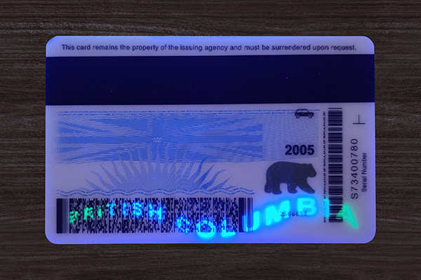 British Columbia Fake ID(2025 version)