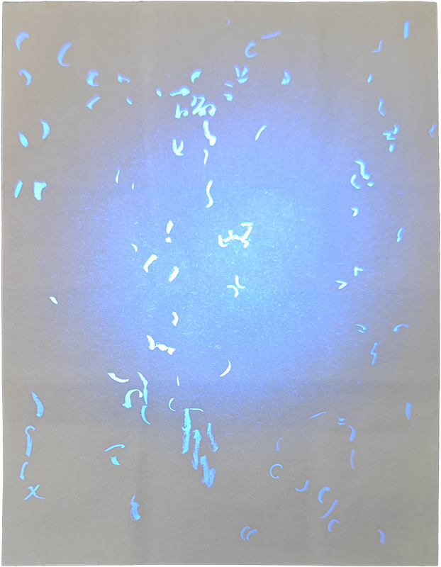 Iowa Birth Certificate