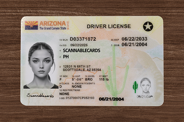 Arizona ID (2025 VERSION)