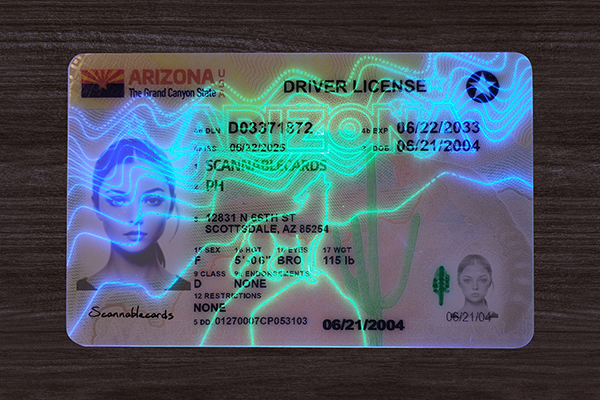 Arizona ID (2025 VERSION)