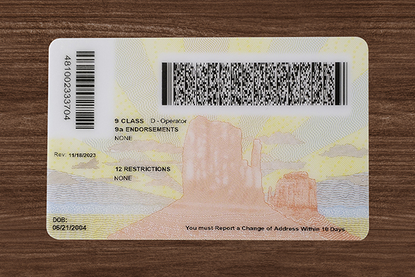 Arizona ID (2025 VERSION)