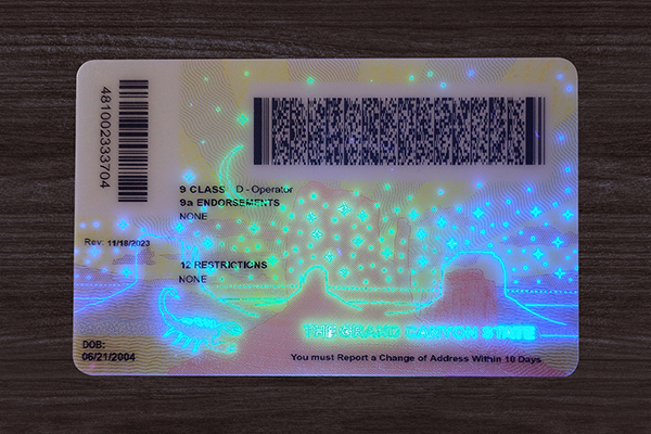 Arizona ID (2025 VERSION)