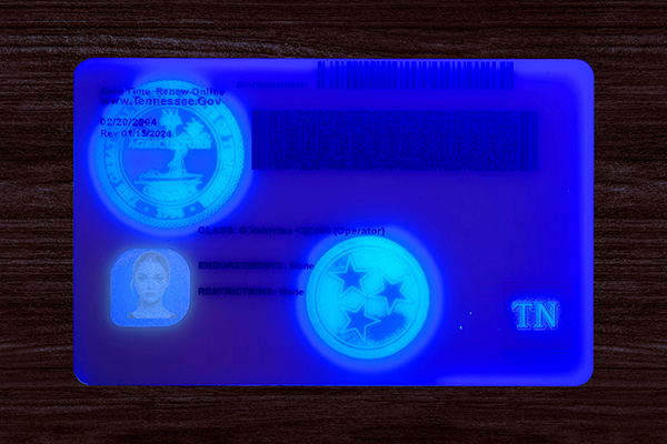 Tennessee ID (Latest Version)