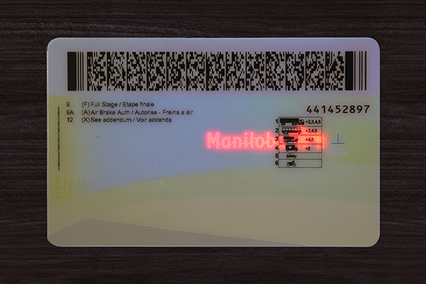 Manitoba ID (Latest version)