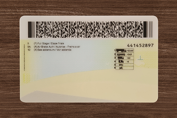 Manitoba ID (Latest version)