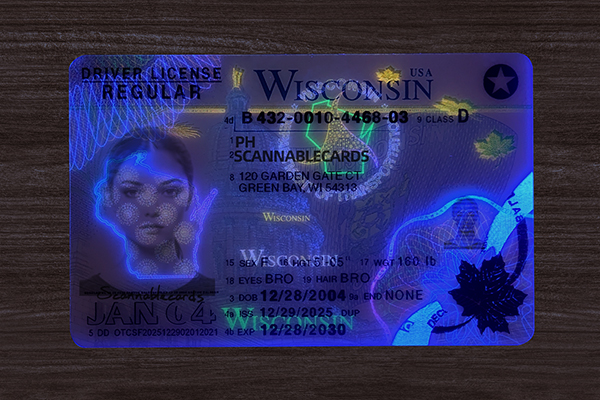 Wisconsin DL (2026 Version)