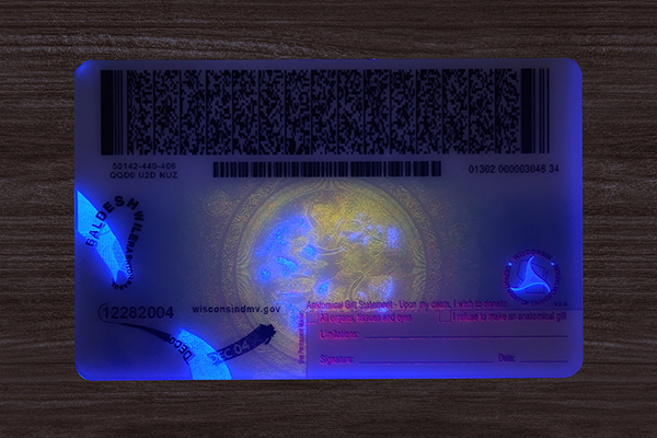 Wisconsin ID (2026 Version)