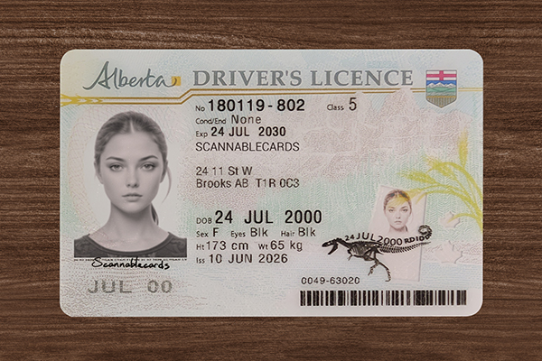 Alberta Driver’s Licence