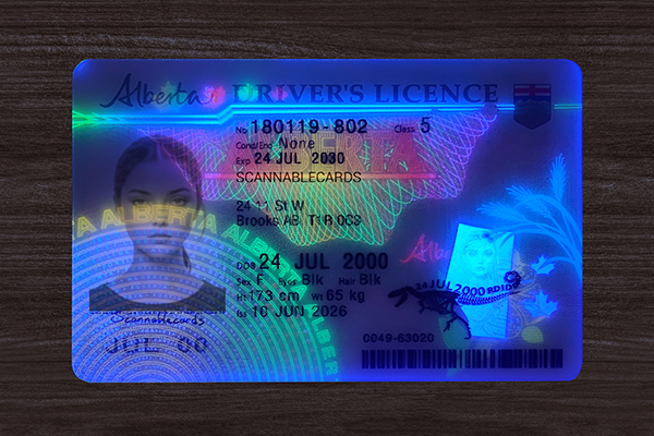 Alberta Driver’s Licence