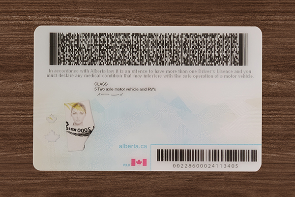 Alberta Driver’s Licence