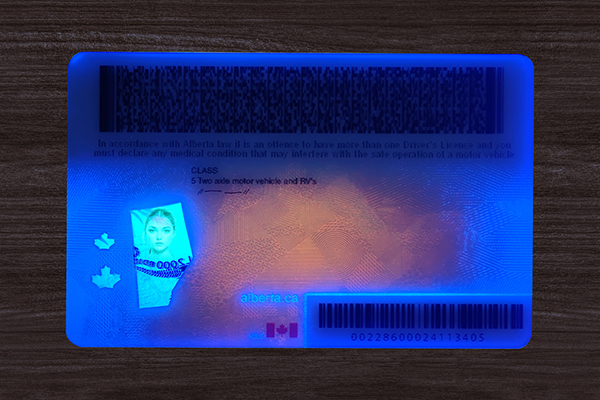 Alberta Driver’s Licence